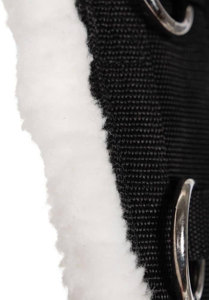 Dura-Tech Fleece Lined Training Surcingle for Horses | Essential for Lunging Work | Comfortable Fleece Lining | Durable Poly Material | Versatile D-Ring Placement | Suitable for All Training Levels