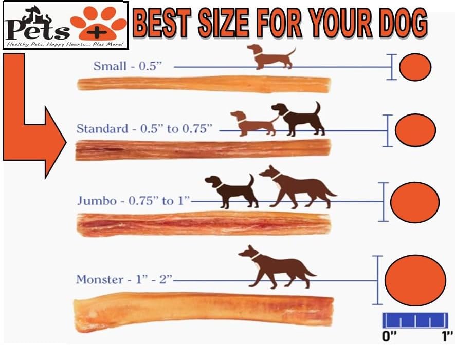 Pets Plus Premium Bart's Bully Sticks for Dogs – 6 Inch, Medium Size, All-Natural, Long-Lasting Chews for Moderate Chewers – High Protein, Low Odor, Grain-Free (5-Pack)