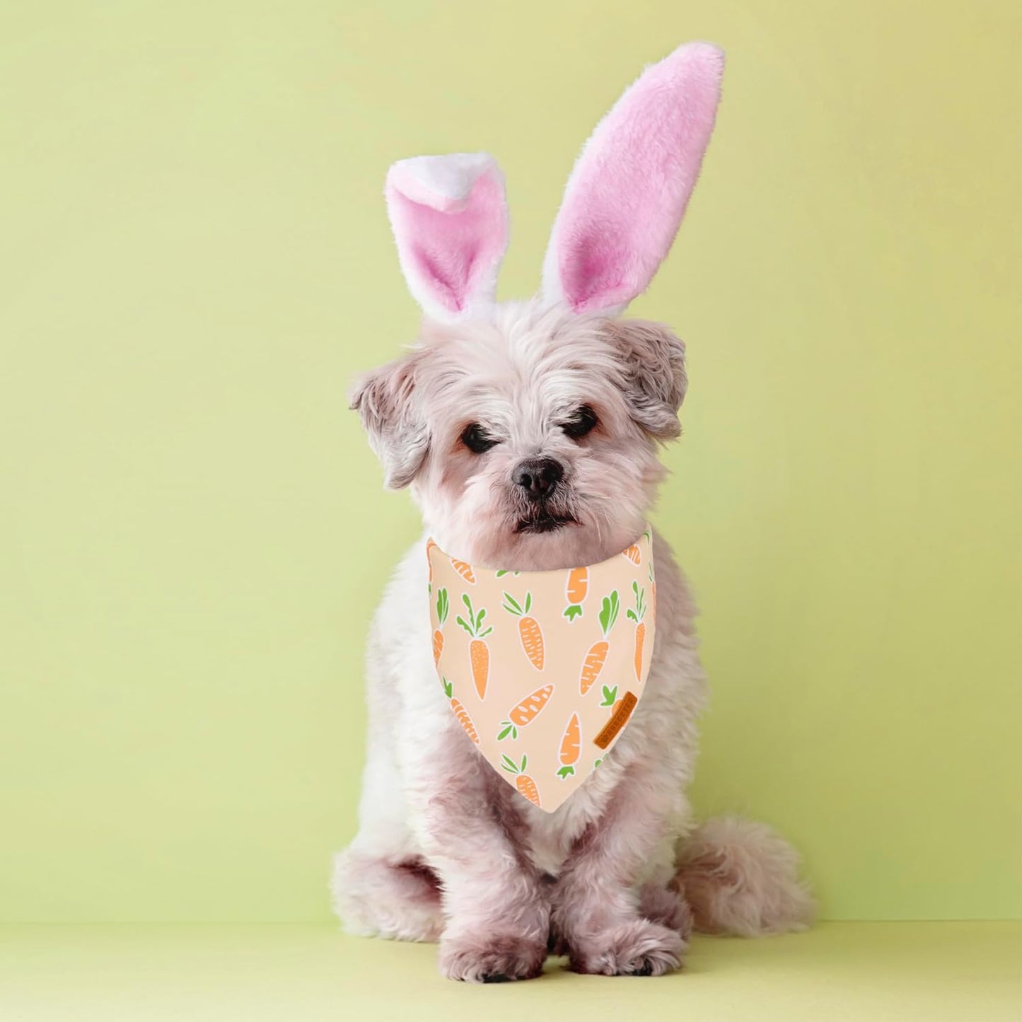 ADOGGYGO Easter Dog Bandanas, Rabbit Carrot Puppy Scarf, Multi Size Offered, Orange Blue Easter Bandana for Small Dogs Pets (Small)