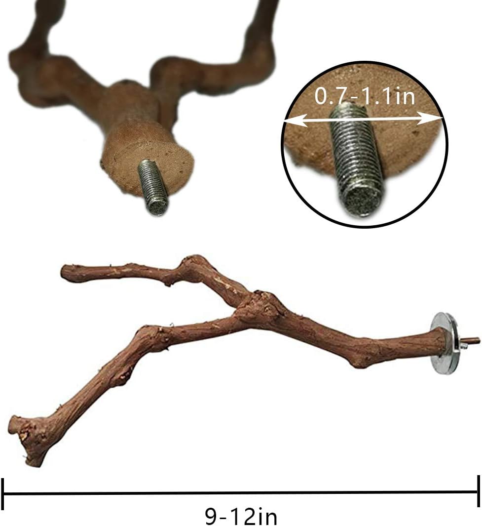 PINVNBY 2Pcs Wood Perches for Bird Cage,Natural Parrot Stand Branch Parakeet Paw Grinding Sticks Standing Grape Pole for Lovebirds Budgies Cockatiels Finches