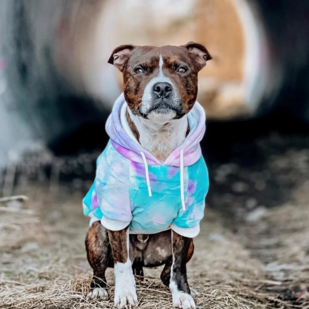 Spark Paws Dog Hoodie – Premium Dog Sweater for Small, Medium, and Large Dogs | Warm Outfits for French Bulldogs, Pitbull, Puppy, Winter Jacket Alternative - 90s Retro Sky Dye - 3XL