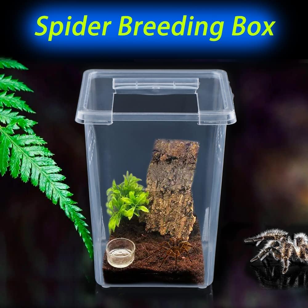 10 Pack Spider Terrariums Breeding Box Small Reptile Hatching Container Acrylic Feeding Box for Arboreal Spider Tarantula Mantis Scorpion Centipede Insect (5 High+5 Small)