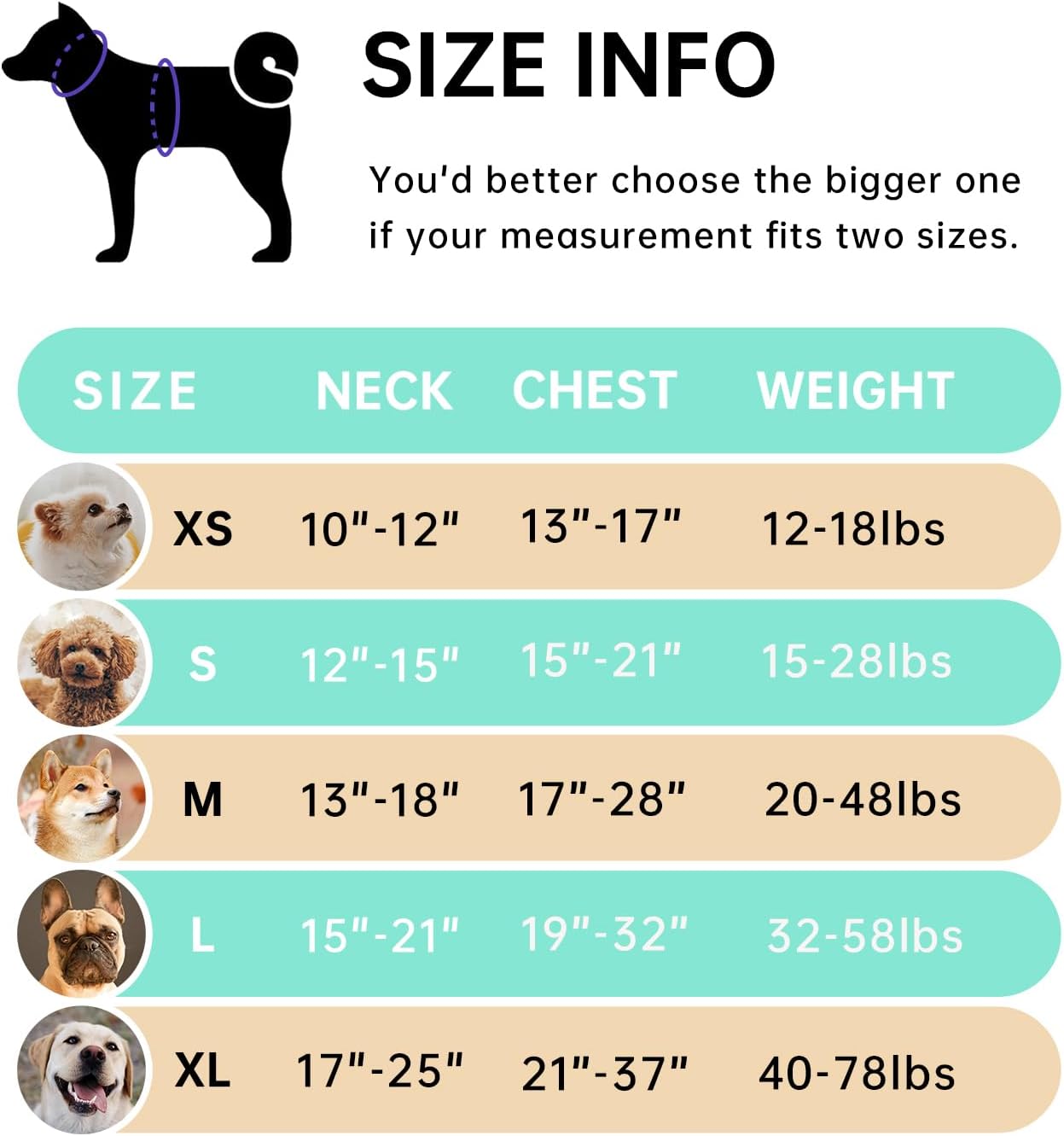 IVY&LANE No Pull Dog Harness with Leash Set, Reflective No Choke Pet Vest,Adjustable Oxford Dog Vest Harness with Easy Control Handle for Large Dogs (Turquoise,L)