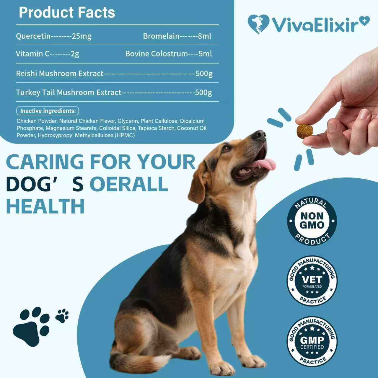 Quercetin for Dogs with Bromelain - Dog Allergy & Itch Relief Chews, Balanced Immune System – Skin & Ear Soothing Support for Yeast Infection, Hot Spots & Seasonal Allergies - 120 Treats