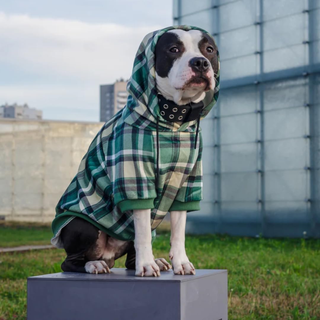 Spark Paws Dog Hoodie – Premium Dog Sweater for Small, Medium, and Large Dogs | Warm Outfits for French Bulldogs, Pitbull, Puppy, Winter Jacket Alternative - Green Plaid - 4XL
