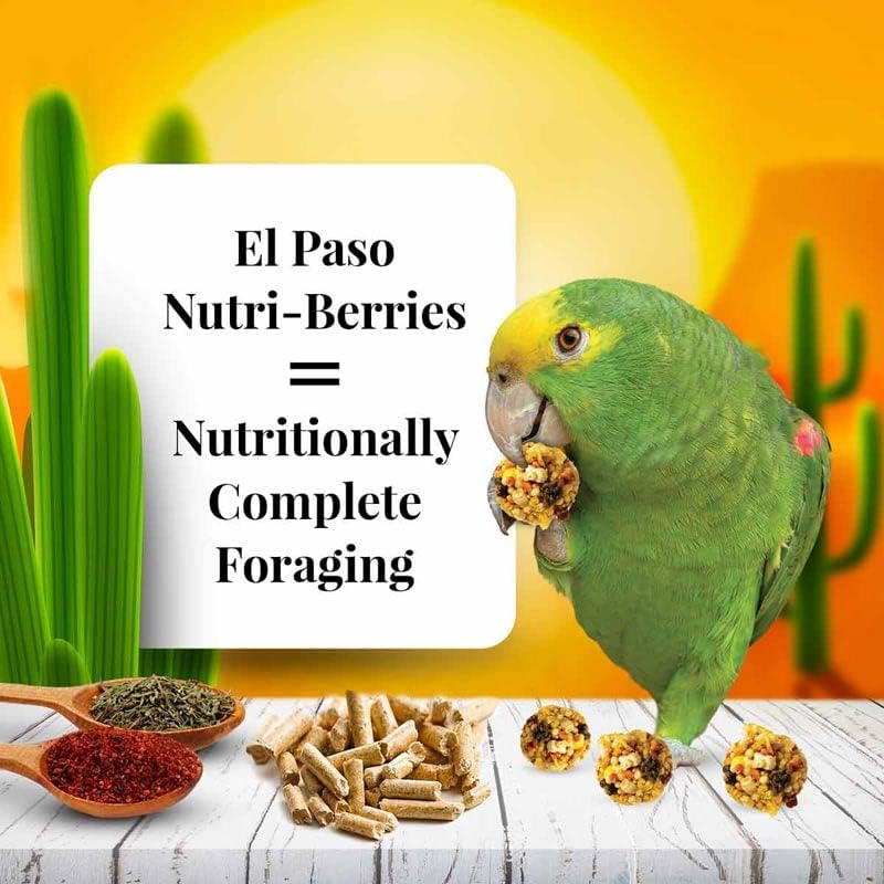 LAFEBER'S El Paso Nutri-Berries Pet Bird Food, Made with Non-GMO and Human-Grade Ingredients, for Parrots (10 oz Pack of 2)