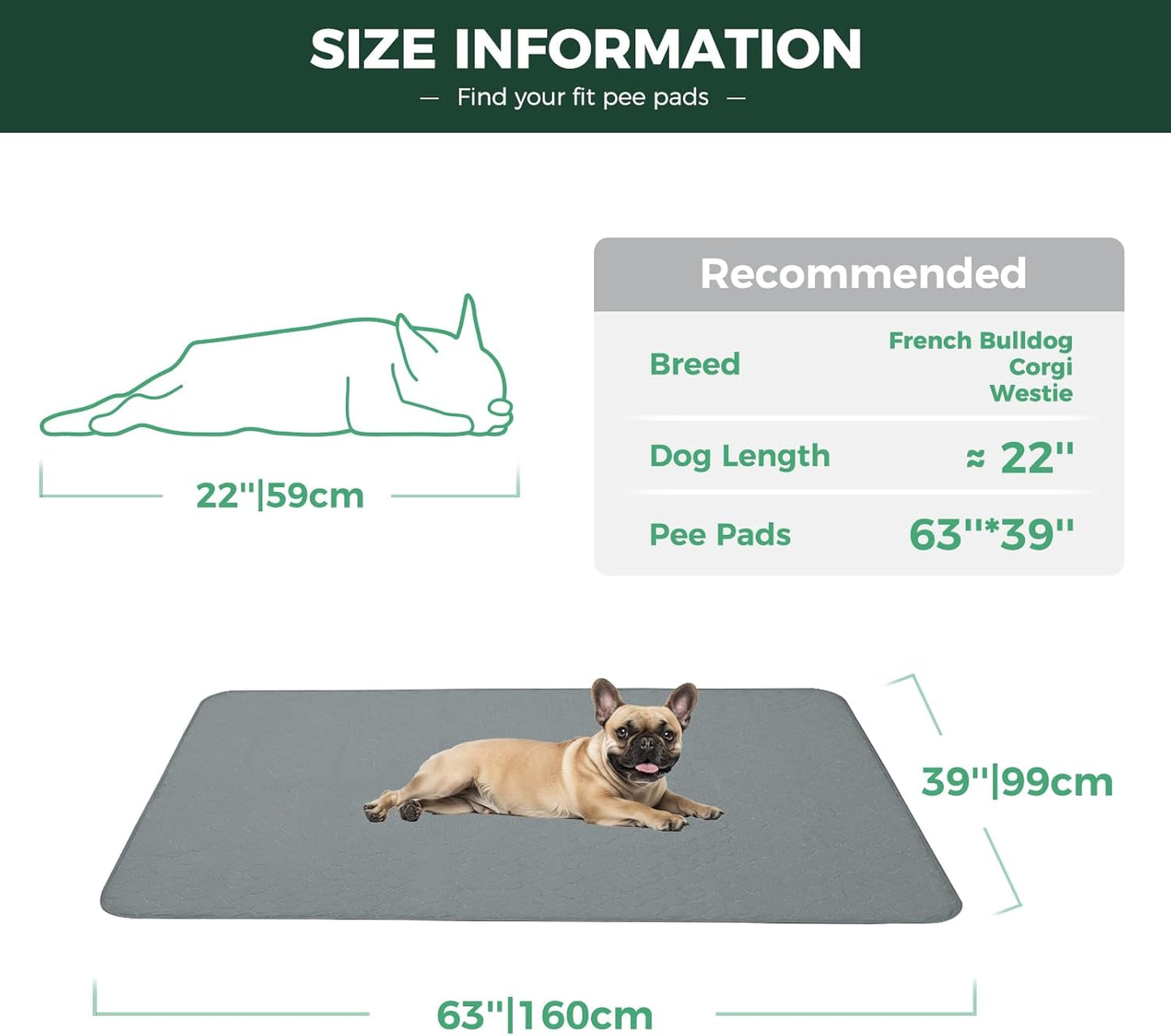 FXW Washable Pee Pads for Dogs, Puppy Pads with Super Absorbent, Specifically Designed for FXW Rollick/Homeplus 24inch 6 Panels Dog Playpen, 63" × 39" Rectangle, Gray, 1 Pack
