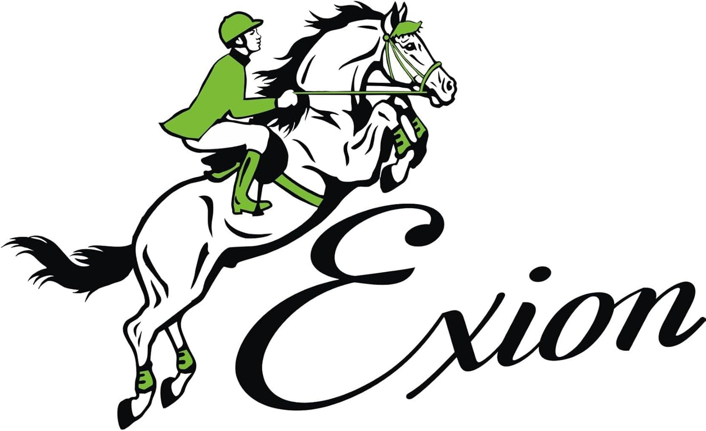 Exion FlexiStrong Stirrup Leathers for English Saddle | Ultra-Soft Cow Calfskin with Nylon Core | 1” Wide Stirrup Leathers for Daily Use | Sizes 48" to 62" | Black, Brown