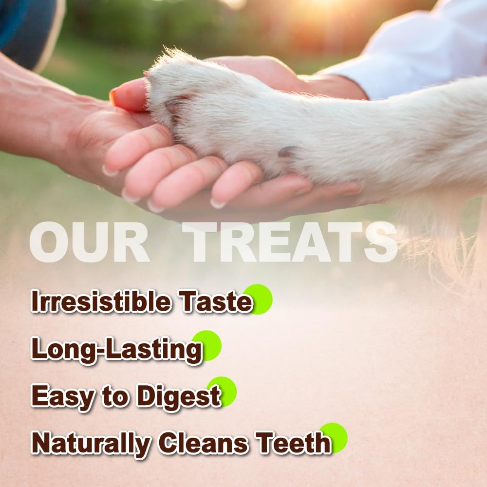 Afreschi Natural Turkey Tendon Bone (M) 20 Units/Box, Dog Treats for Signature Series, All Natural Human Grade Puppy Chew, USA-Sourced Turkey Tendon, Hypoallergenic, Rawhide Alternative