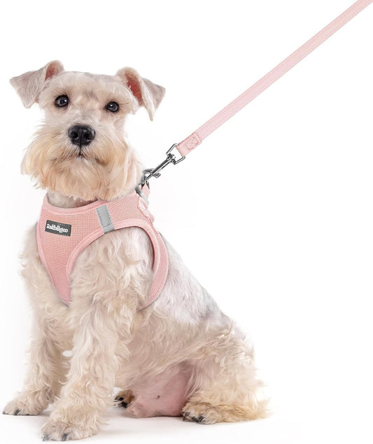 rabbitgoo Dog Harness Small Sized and Leash Set, Step in Soft Light Puppy Vest, Breathable Mesh Pet Harness, Reflective for Outdoor Safe Walking, Pink XXL