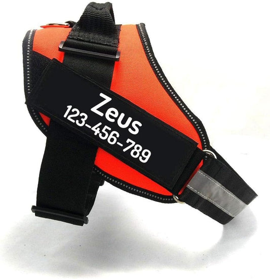 PawPawify Custom No Pull Dog Harness with Name and Phone Number, Heavy Duty Personalized Pet Vest to Prevent Tugging, Pulling, or Choking, Training and Walking (Orange, M (20-40 LBS))