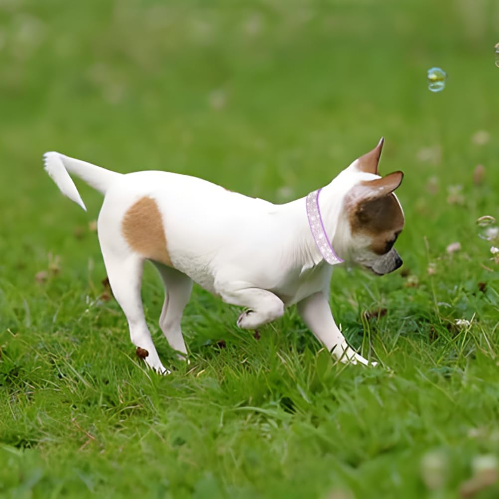 Small Dog Collar with Rhinestone Crystal Diamond Colorful Bling Girl Cat Collars Black XS