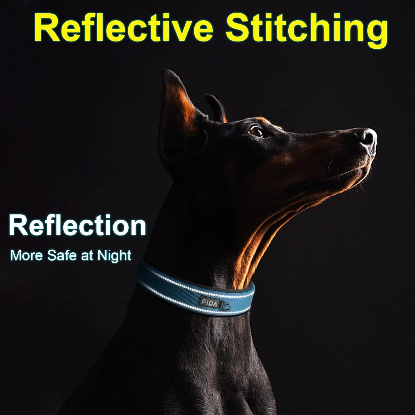 Fida Heavy Duty Dog Collar, Ultra Comfortable Soft Neoprene Padded, Adjustable Reflective Nylon Pet Collar with Durable Metal Belt Buckle for Small Breeds (S, Blue)