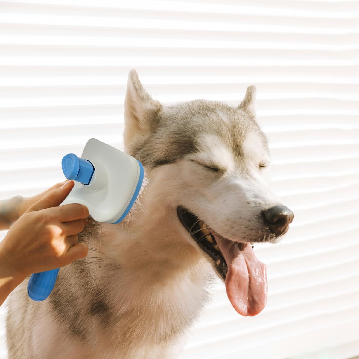 Pet Cleaning Deshedding Brush,Pet Hair Removal Brush for Shedding Massaging Grooming for Small Dogs,Cats,Rabbits