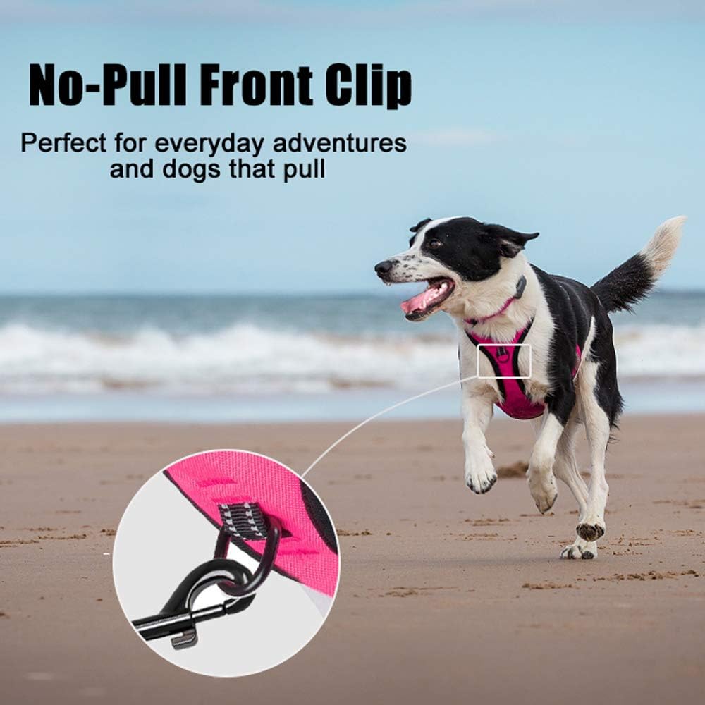 PoyPet No Pull Dog Harness, Reflective Comfortable Vest Harness with Front & Back 2 Leash Attachments and Easy Control Handle Adjustable Soft Padded Pet Vest for Small to Large Dogs (Pink,M)
