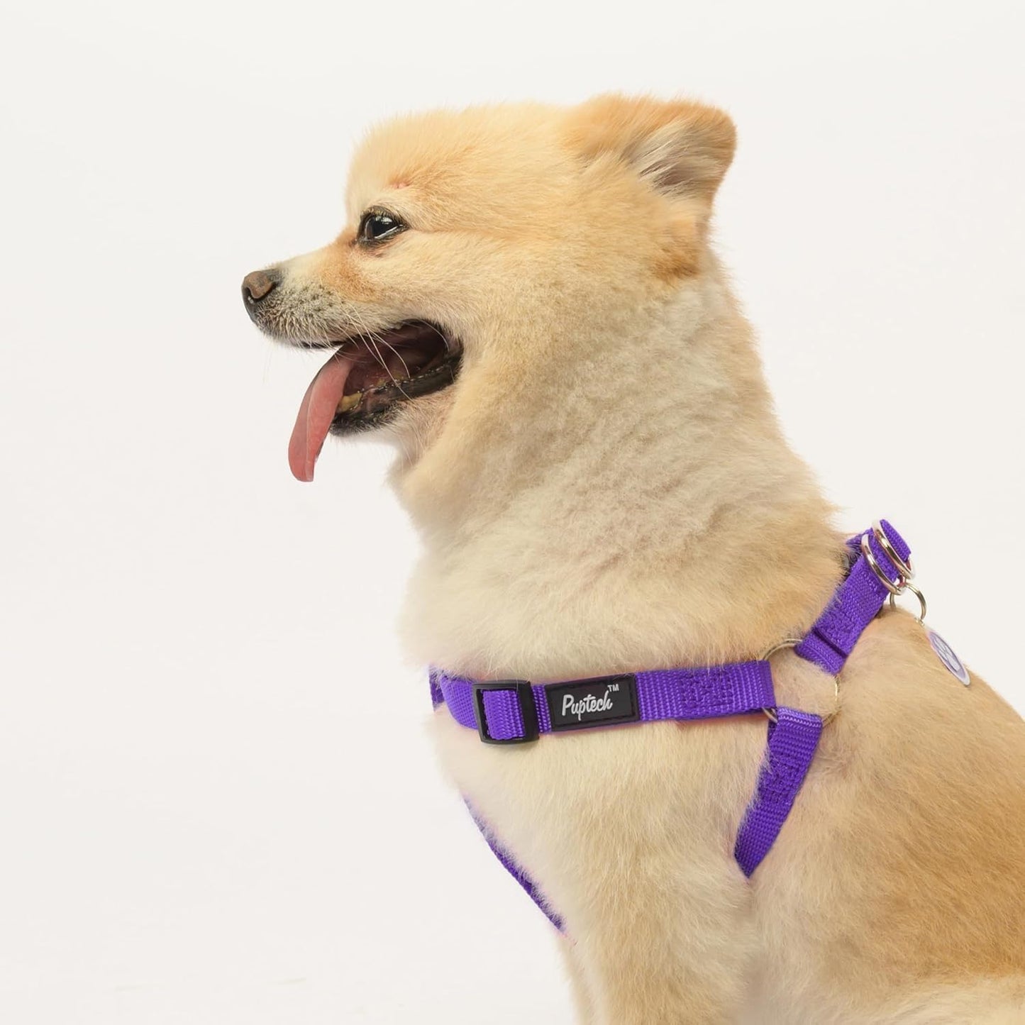 PUPTECK No Pull Dog Harness Soft Adjustable Basic Nylon Step in Puppy Vest Outdoor Walking with ID Tag