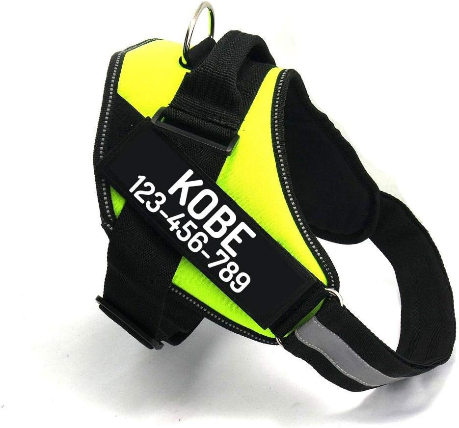PawPawify Custom No Pull Dog Harness with Name and Phone Number, Heavy Duty Personalized Pet Vest to Prevent Tugging, Pulling, or Choking, Training and Walking (Green, XL (60-85 LBS))