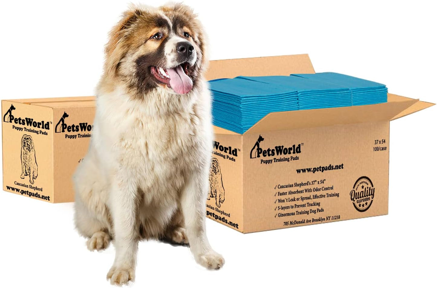 PETSWORLD Enormous Dog Training & Potty Pads, 37x54 inch - Tear Resistant with Strong Leak-Proof Backing, Optional Adhesive Tape, 200 Count