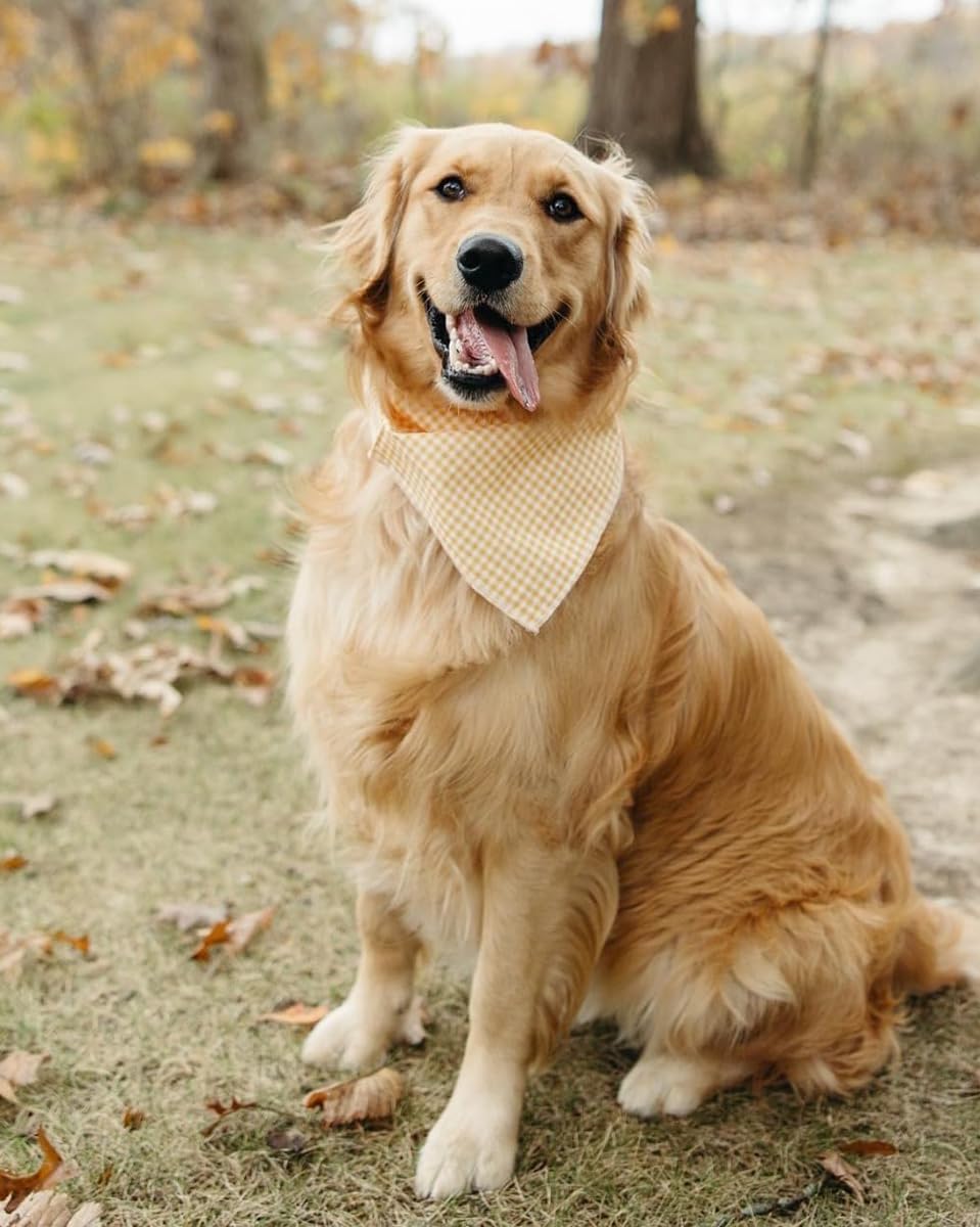 Lionet Paws Dog Bandana for Small Medium Large Dogs, Cat Dogs Kerchief Triangle Bibs Scarf for Girl or Boy