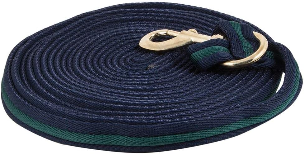 Dura-Tech Cushion Lunge Line for Horses | Stable Use & Horse Training | Horse Lunge Line with Snap | Durable Horse Lead Rope | 30 Foot Length | Replaceable Brass Snap