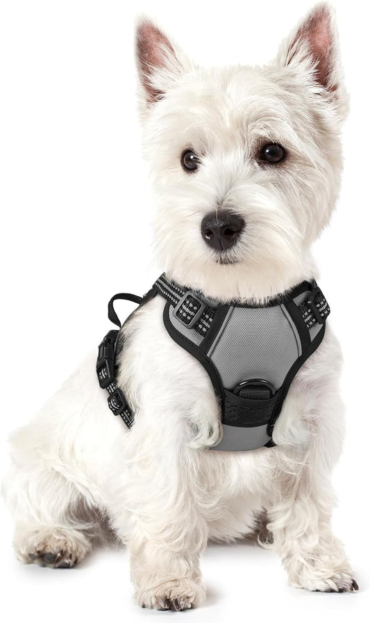 rabbitgoo Dog Harness No Pull with 2 Leash Clips, Adjustable Soft Padded, Reflective Oxford No Choke Pet Vest with Easy Control Handle for Puppy, Grey, XS