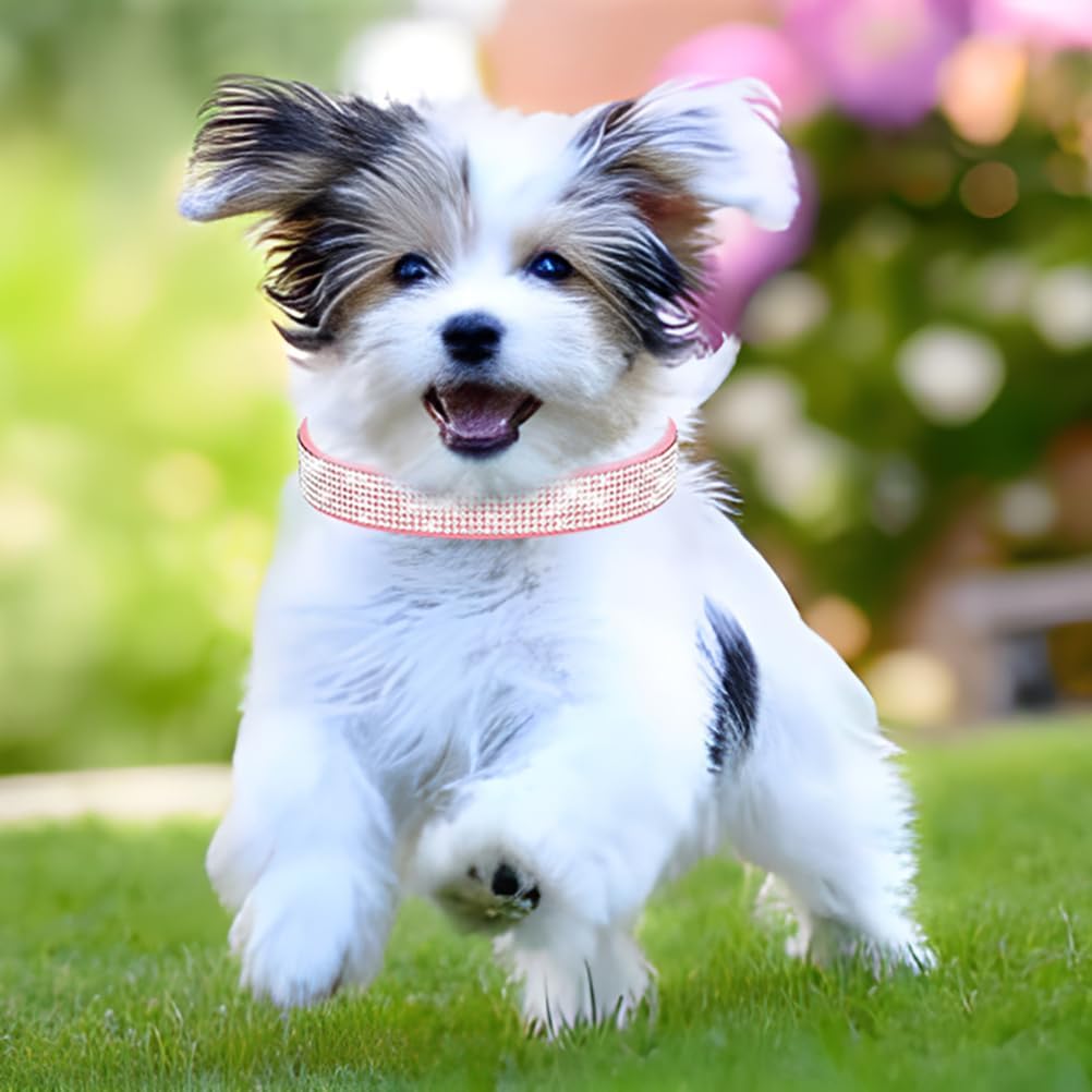 Rhinestone Dog Collar for Small Dogs, Bling Diamond Fancy Crystal Glitter Pretty Jewel Pet Puppy Collars for XXS XS Small Medium Large Breed Girl Dogs Female Cats Kitten, Red XSmall