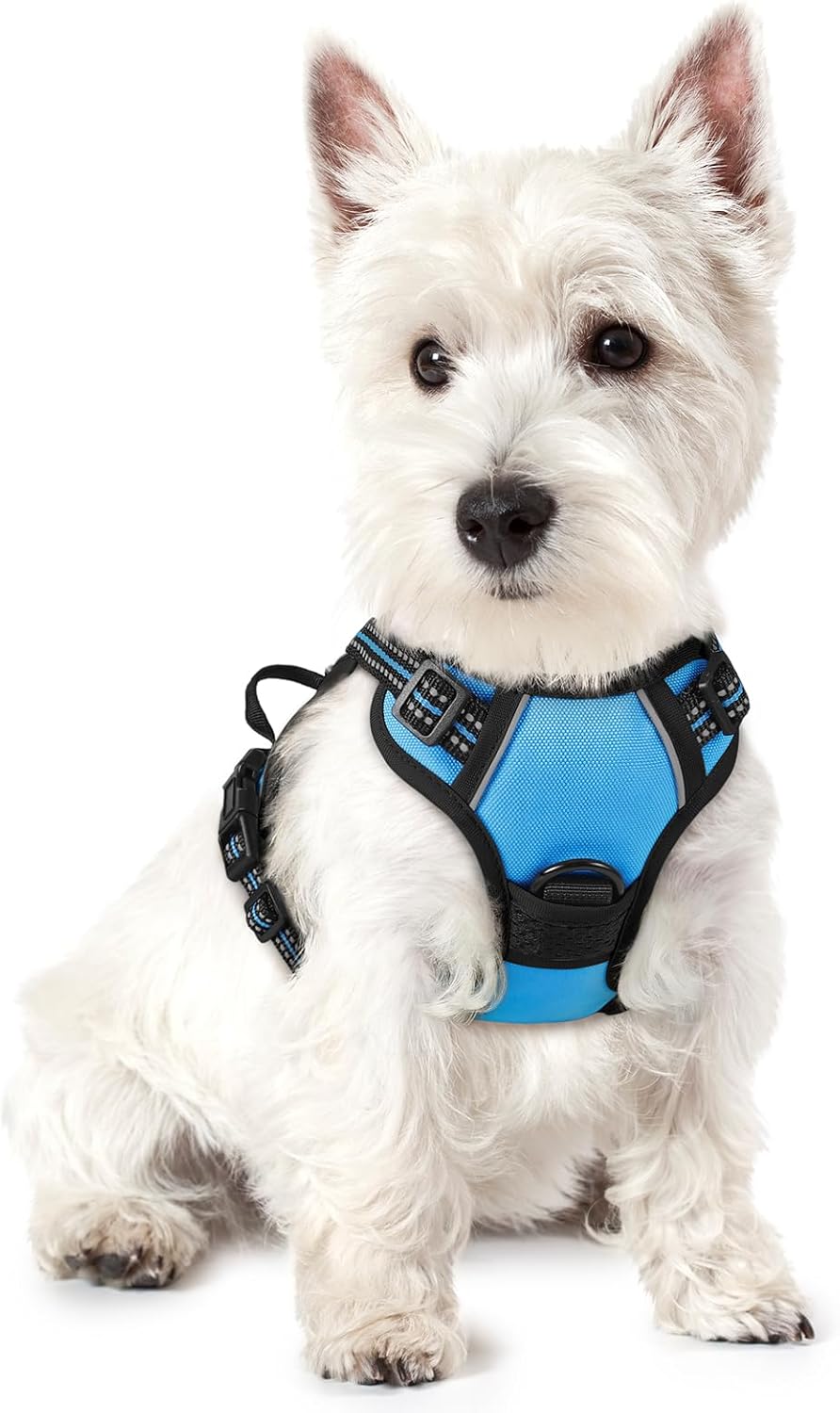 rabbitgoo Dog Harness No Pull with 2 Leash Clips, Adjustable Soft Padded, Reflective Oxford No Choke Pet Vest with Easy Control Handle for Puppy, Blue, XS