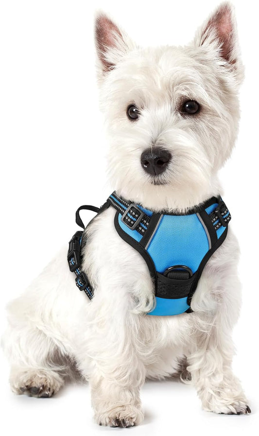 rabbitgoo Dog Harness No Pull with 2 Leash Clips, Adjustable Soft Padded, Reflective Oxford No Choke Pet Vest with Easy Control Handle for Puppy, Blue, XS