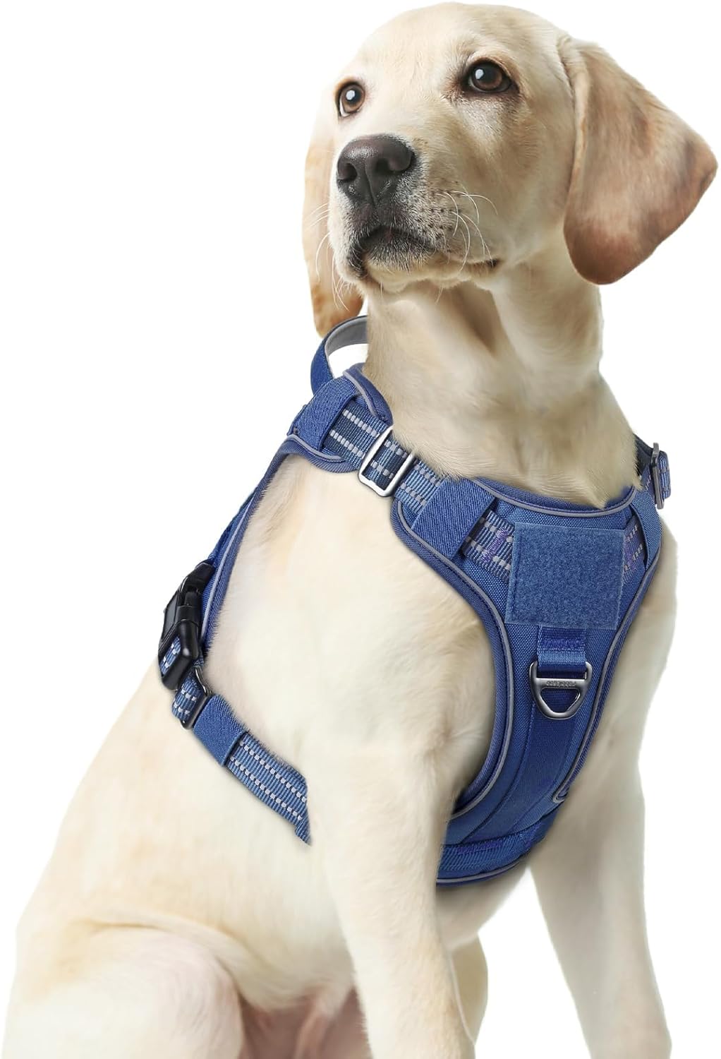 rabbitgoo Dog Harness Medium Sized No Pull, Tactical Service Pet Vest with Molle and Control Handle, Adjustable and Reflective Military Harness for Easy Walking and Training, Blue, M