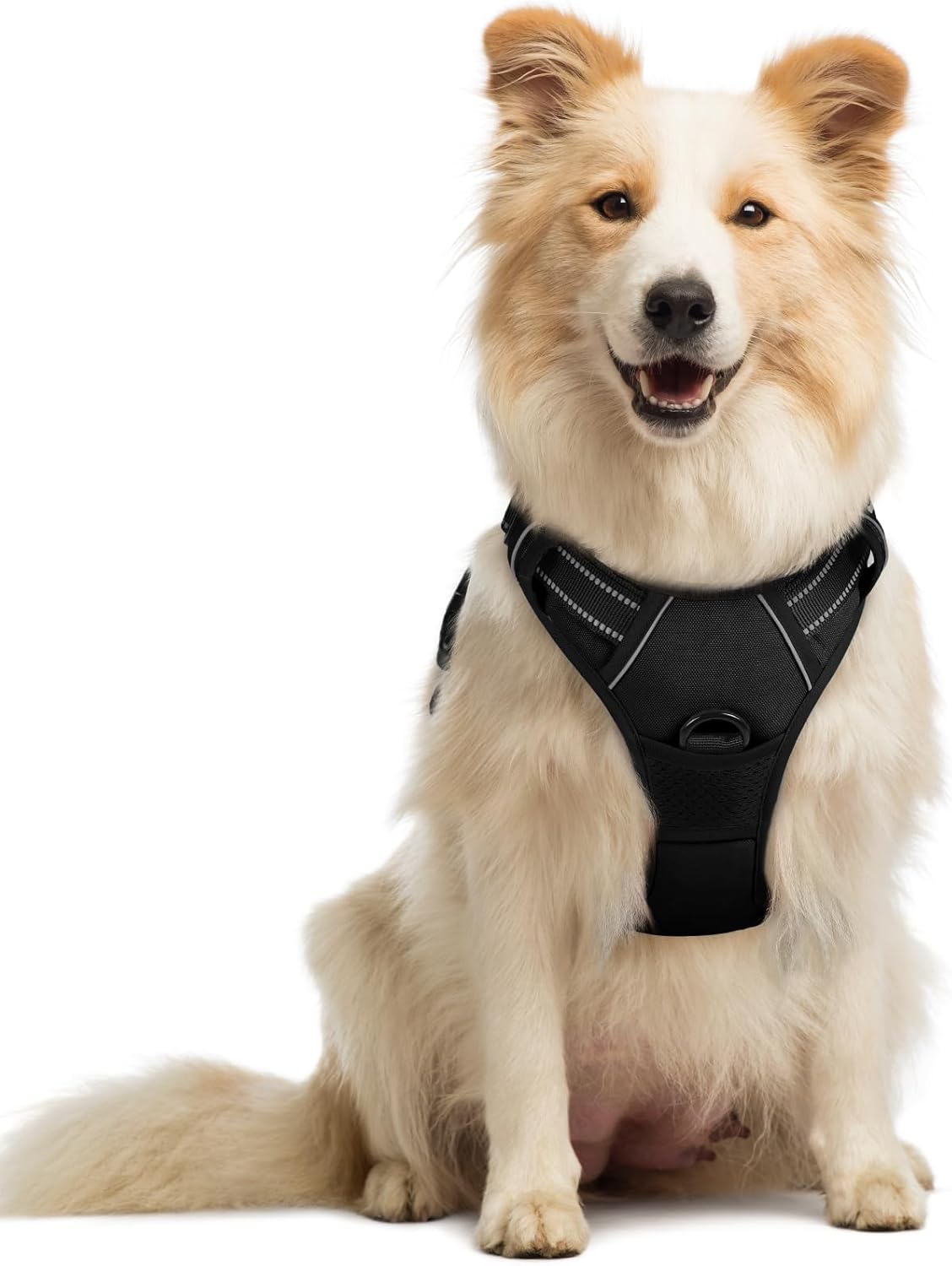 rabbitgoo Dog Harness No Pull with 2 Leash Clips, Adjustable Soft Padded, Reflective Oxford No Choke Pet Vest with Easy Control Handle for Medium Sized Dogs, Black, M