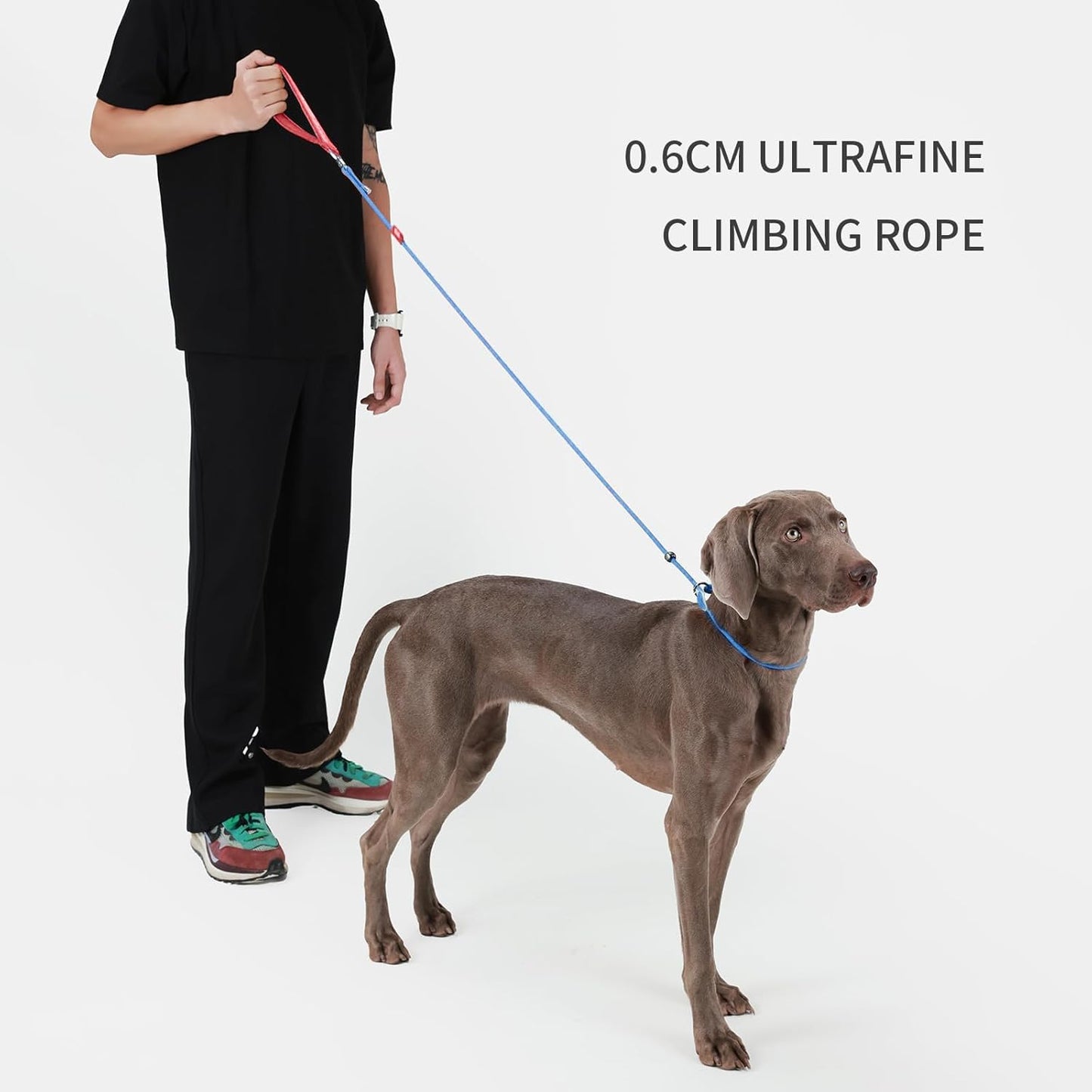 Dog Anti-Slip Leash 5FT with Metal Stopper - Durable No-Pull Training Lead for Small, Medium & Large Dogs - Comfortable Handle Nylon Rope, Tangle-Free Pet Walking Leash (Blue, 5 FT)