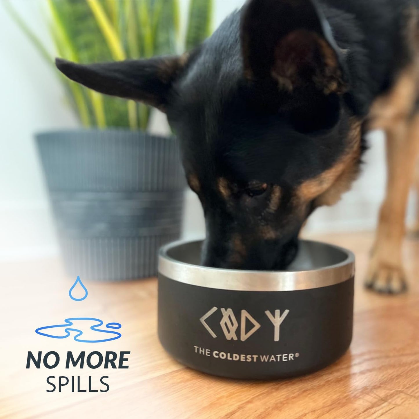 Coldest Dog Bowl - Anti Rust Metal, Non Slip, 3 Layers Insulated Stainless Steel Dog Bowls - Spill Proof & Heavy Duty - Water Bowl for Dogs, Cats & Pets, Dish Washer Safe (21 oz, Epic White)