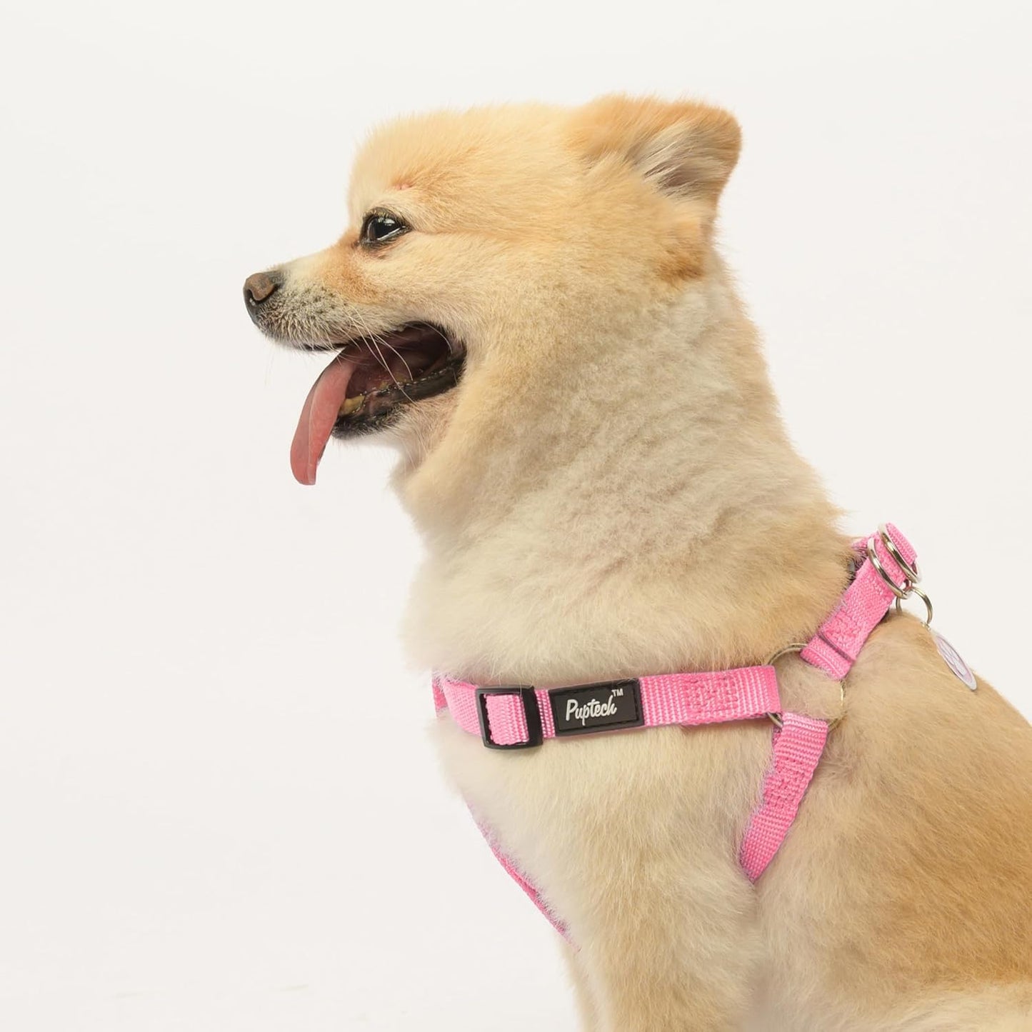 PUPTECK No Pull Dog Harness Soft Adjustable Basic Nylon Step in Puppy Vest Outdoor Walking with ID Tag X-Small