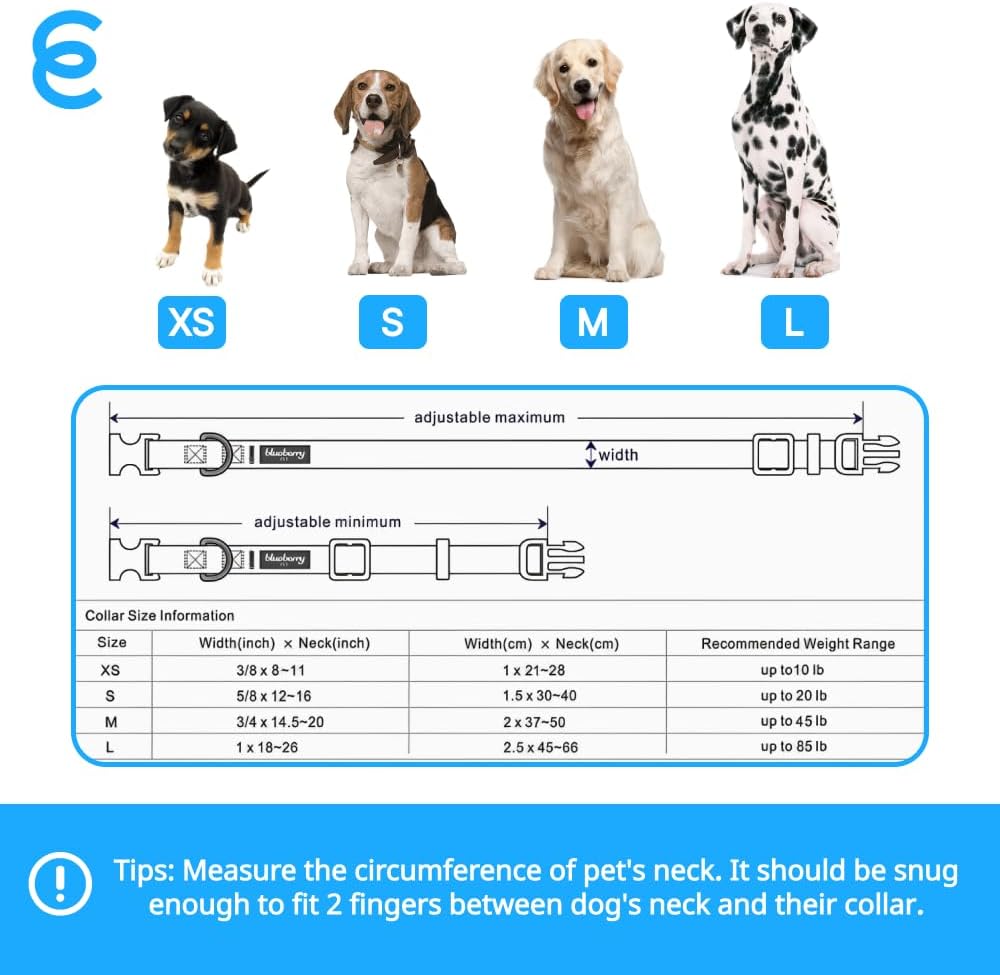 Blueberry Pet Essentials Matching Medium Dog Collar | Adjustable Classic Solid Color Nylon Dog Collars for Medium Dogs | Purple Dog Collar for Medium Dogs