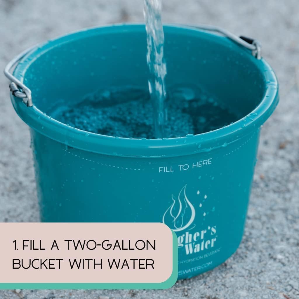 Gallagher's Water 12 Pack All-Natural Equine Hydration Treat - Enhancement Powder Mix Horse Drink Treat to Help Encourage to Drink Water - Made with All Natural Ingredients, FEI Compliant