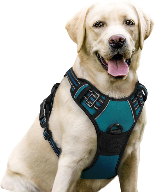 rabbitgoo Dog Harness No Pull with 2 Leash Clips, Adjustable Soft Padded, Reflective Oxford No Choke Pet Vest with Easy Control Handle for Large Dogs, Blue Coral, L