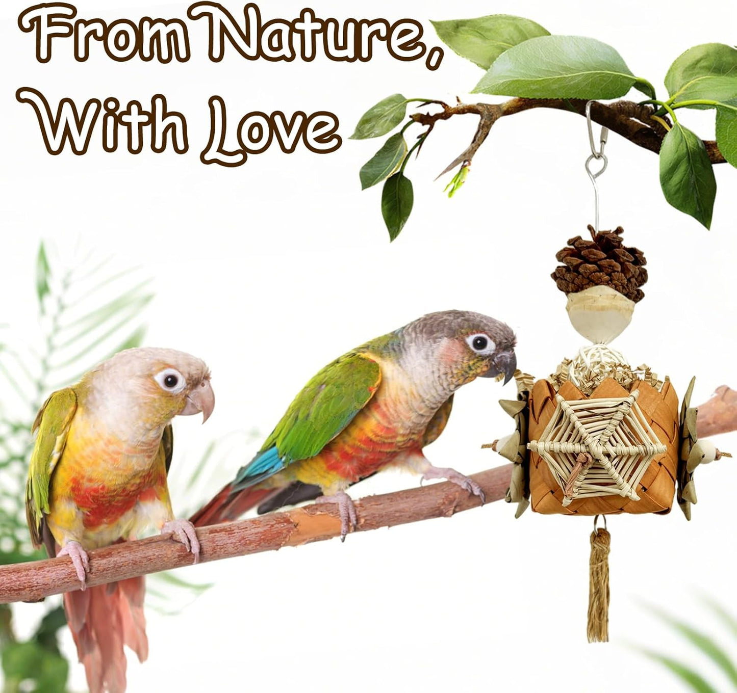 5-Pack Natural Hanging Basket Bird Toys – Foraging & Chewing Toys for Parakeets, Cockatiels, Conures & Small Birds – No Plastic, All-Natural Materials