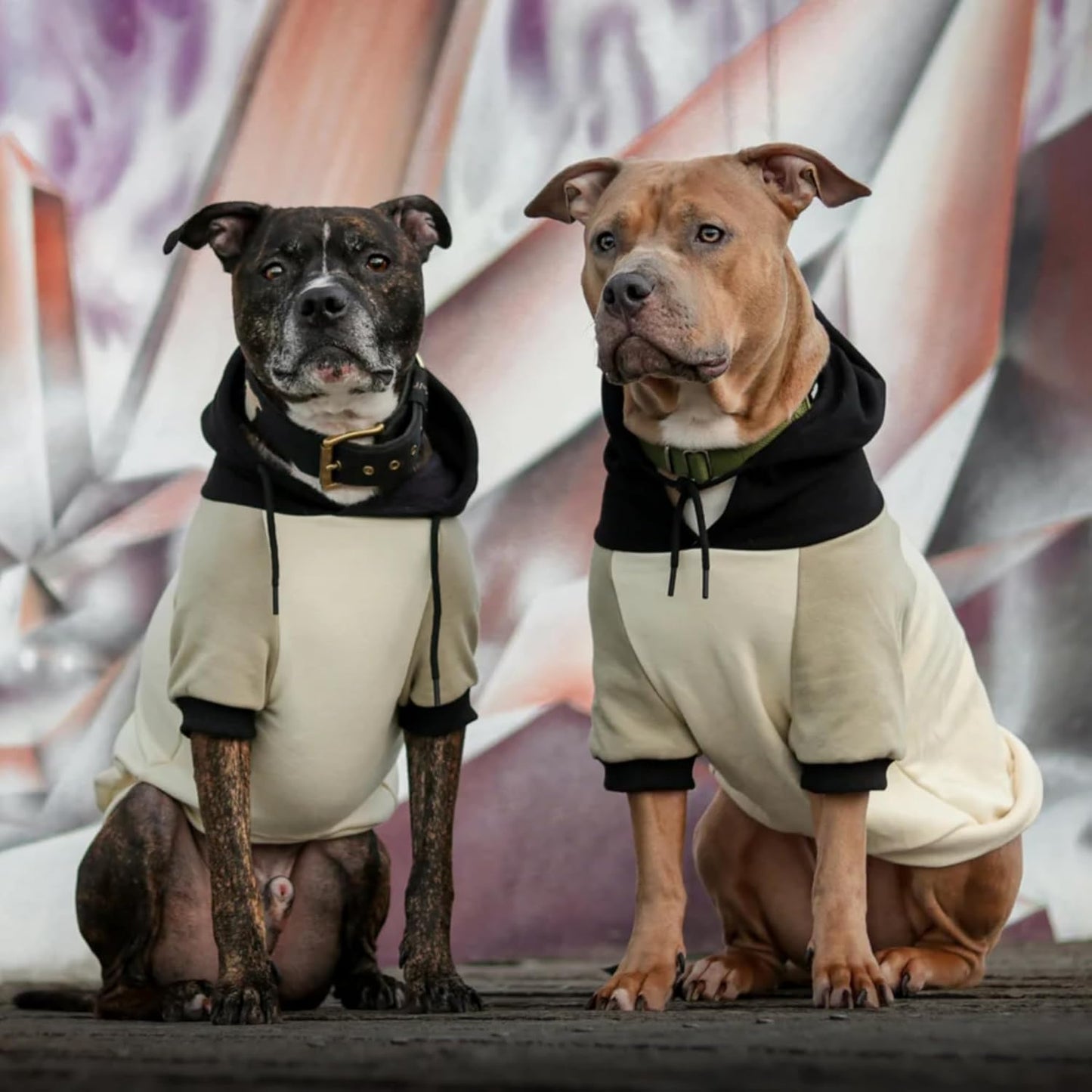 Spark Paws Dog Hoodie – Premium Dog Sweater for Small, Medium, and Large Dogs | Warm Outfits for French Bulldogs, Pitbull, Puppy, Winter Jacket Alternative - Olive Cream - S