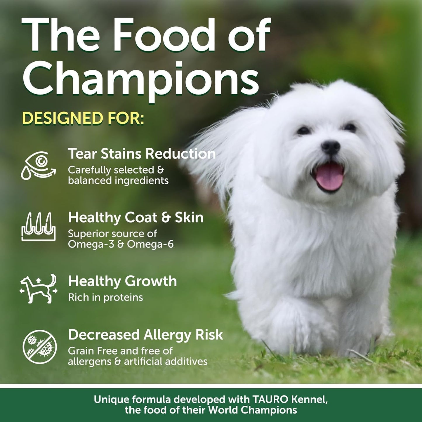 Nature's Protection Superior Care White Dogs Grain-Free Dry Dog Food - High Protein, Tear Stain Dog Food for Small & Mini Breeds Light Coated Adult Dogs, Fresh Pet Meal, Herring, 22 lb