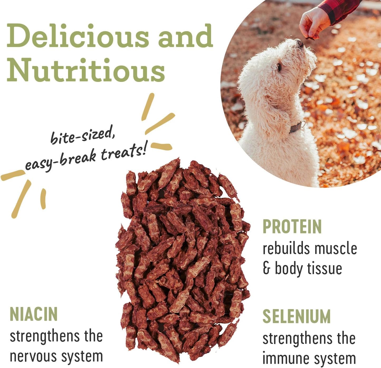 Farm Hounds - Boar Trainers - Premium Natural Jerky for Dogs - from 100% Humanely Raised Boar - Easy-Break - Great for Training & Treats - No Added Fillers - Made in USA - 4.5 oz - 2 Pack