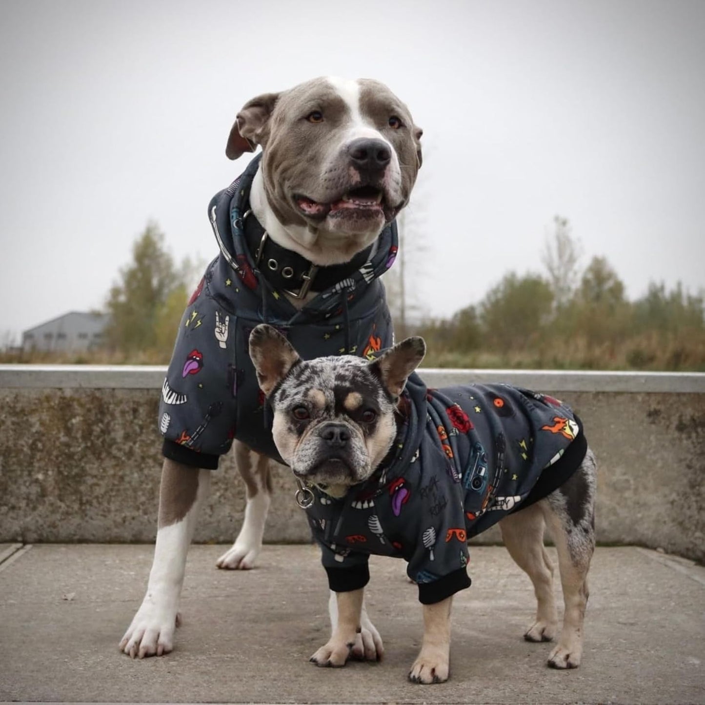 Spark Paws Dog Hoodie – Premium Dog Sweater for Small, Medium, and Large Dogs | Warm Outfits for French Bulldogs, Pitbull, Puppy, Winter Jacket Alternative - Rock and Roll - S