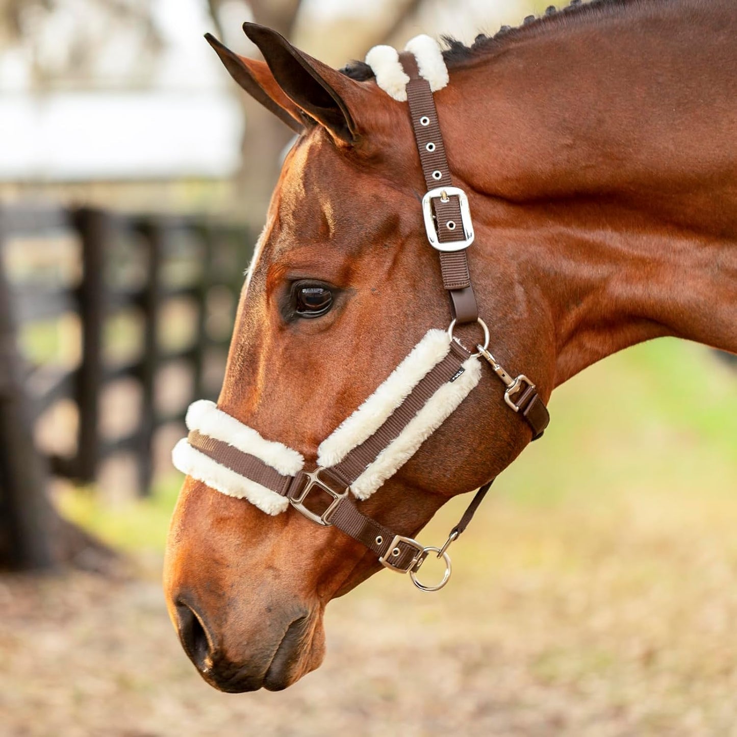 Equinavia Valkyrie Soft Ultra Fleece Padded Adjustable Breakaway Horse Halter - Brown/Ivory White - Warmblood