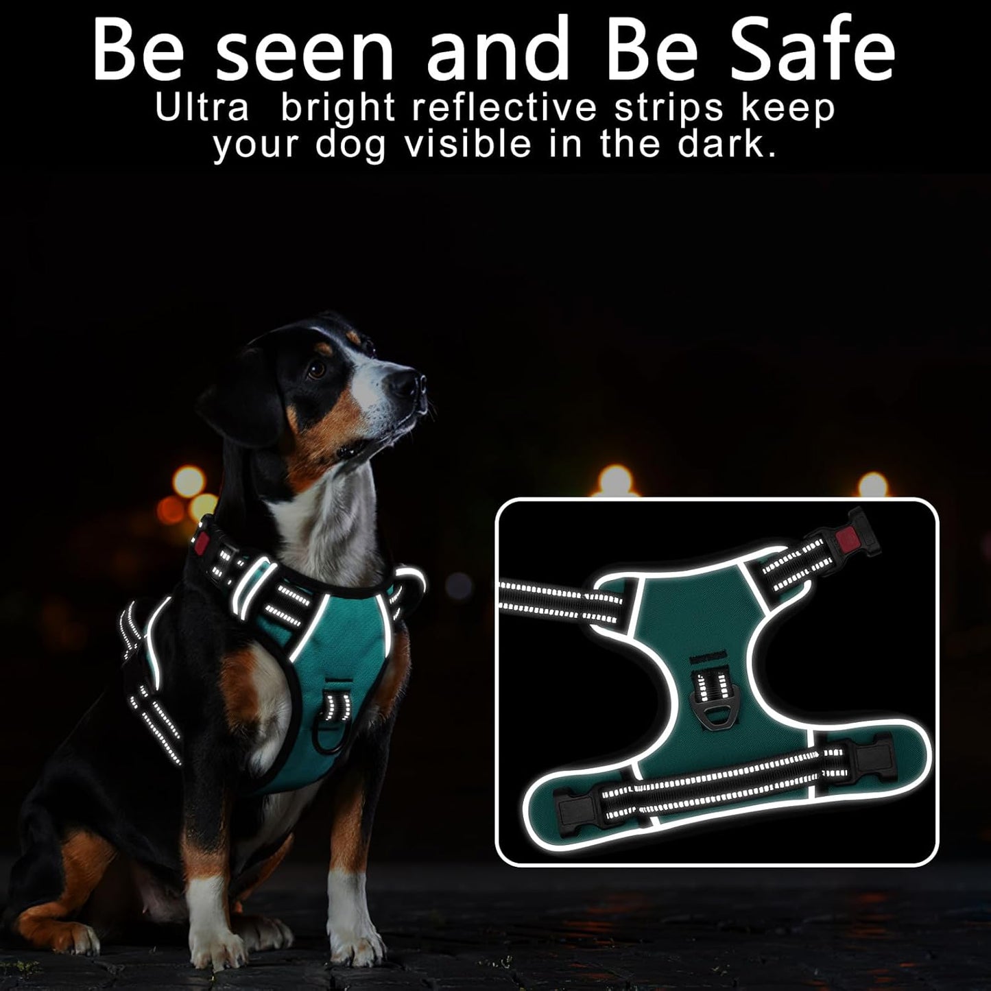 Timos Dog Harness, No-Pull Pet Harness with 2 Leash Clips, Adjustable Soft Padded Dog Vest, Reflective Outdoor Pet Oxford Vest with Easy Control Handle Turquoise