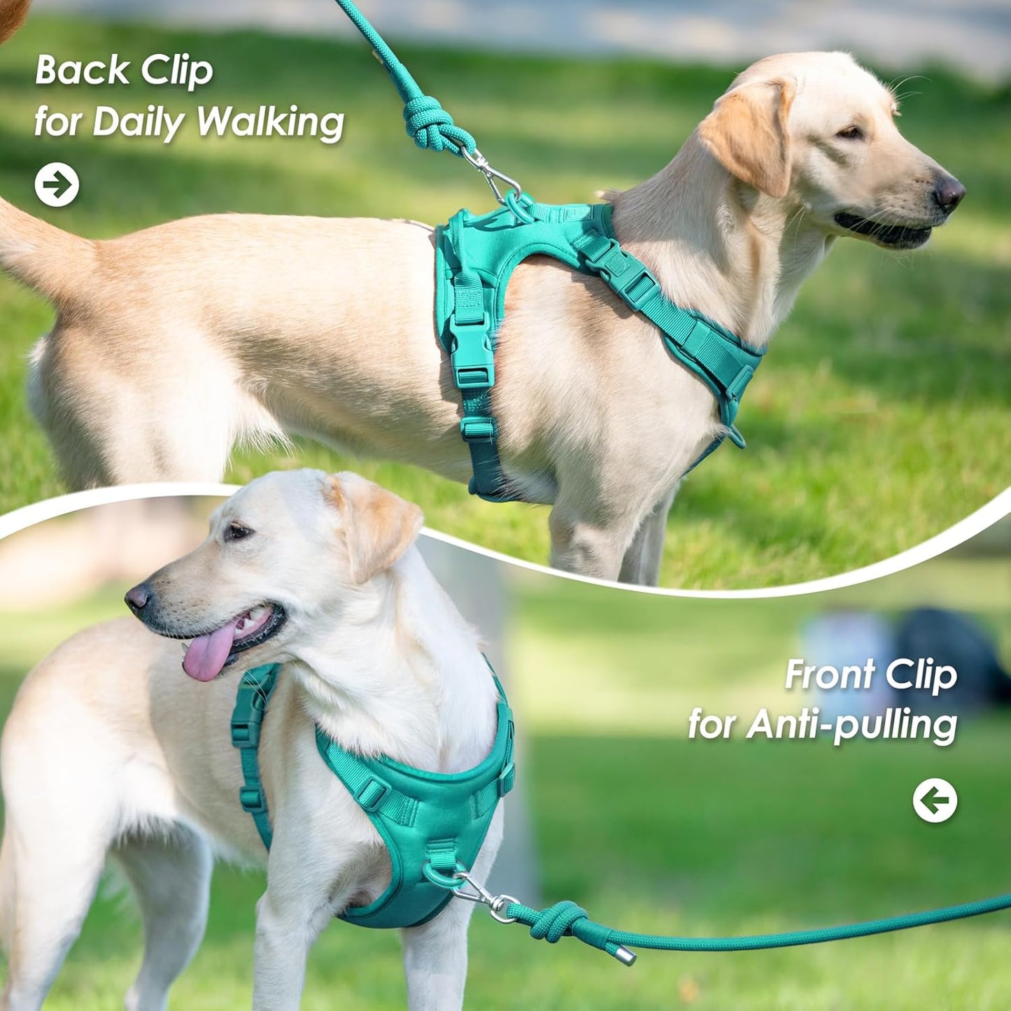 No Pull Dog Harness, Puppy Vest with Front Clip for Small Medium Large Sized Dog(MARRS Green,M)
