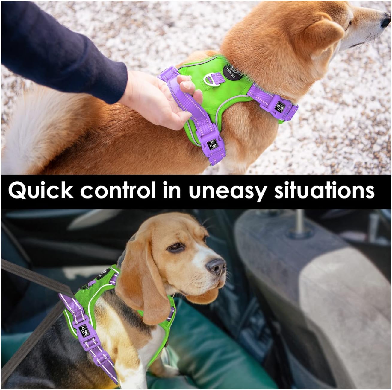 PHOEPET No Pull Dog Harness, Unique Colors Reflective Adjustable Dog Vest, with Soft Training Handle Metal Clips for Small Medium Large Dogs (Green Base & Purple Straps,XL)