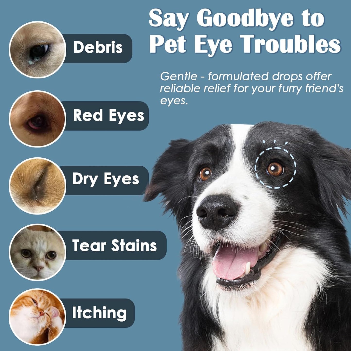 Dog Eye Drops, 2 x 50ml Gentle Eye Drops for Dogs & Cats with Honeysuckle Extract, Dog Eye Infection Treatment, All Natural Pet Tear Stain Remover for Dogs Eye Wash, Soothe Discomfort & Irritation