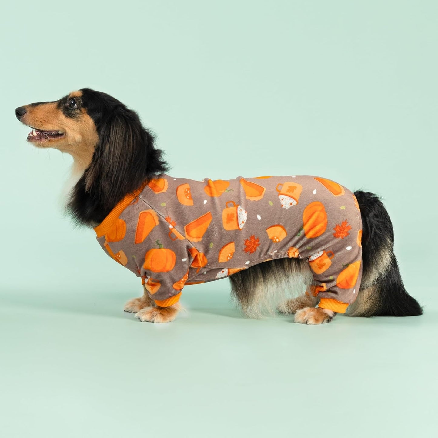 Fitwarm Pumpkin Dog Pajamas, Thanksgiving Outfit for Small Dogs Boy Girl, Pet Onesie, Brown, Orange, XS