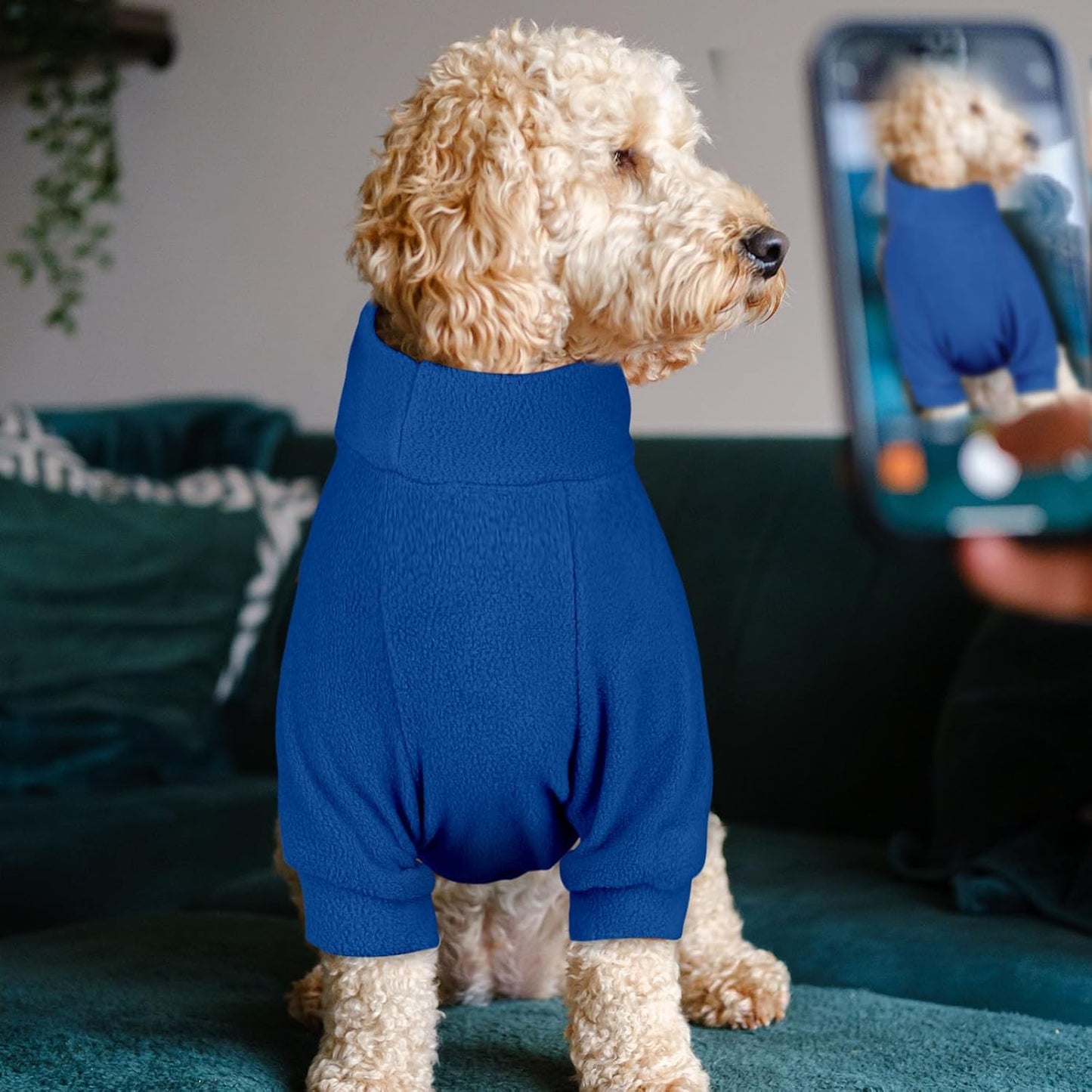 3 Pack Dog Sweater Fleece Turtleneck Soft Warm Sweatshirt Dog Sweaters for Small Dogs Puppy Sweater Boy Girl Pet(Gray+Royal Blue+Navy,XS)