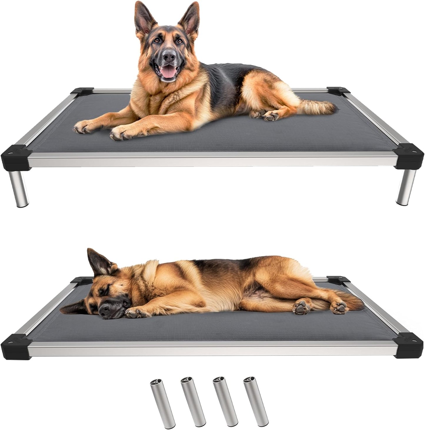 FXW TitanNest Chew-Proof Elevated Dog Bed, Raised Cot for Indoor/Outdoor/Camping Use, Durable & Washable Padded Pet Bed for Large Dogs, 50.0" L x 31.0" W x 7.3" H, Gray