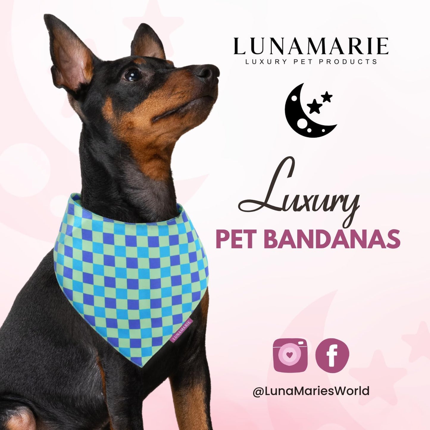 LunaMarie - Luxury Pet Birthday Bandanas -Premium & Silky Poly Fabric | 100% Handmade | Custom Shape Dual Layered (Electric Rebel, Small)